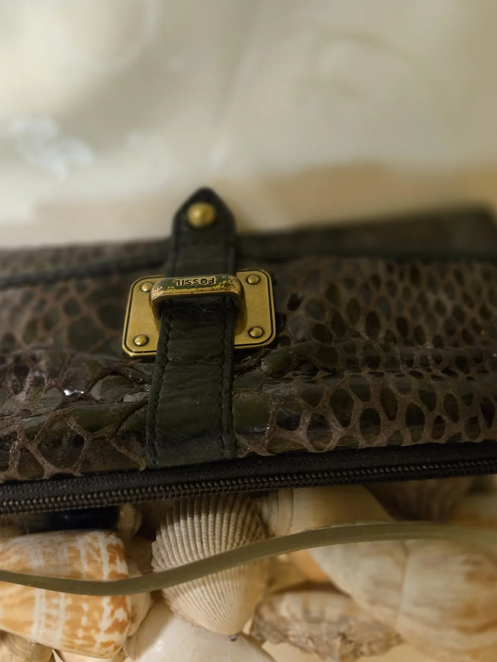 Fossil Brown Croc-Embossed Leather Clutch with Brass Plate